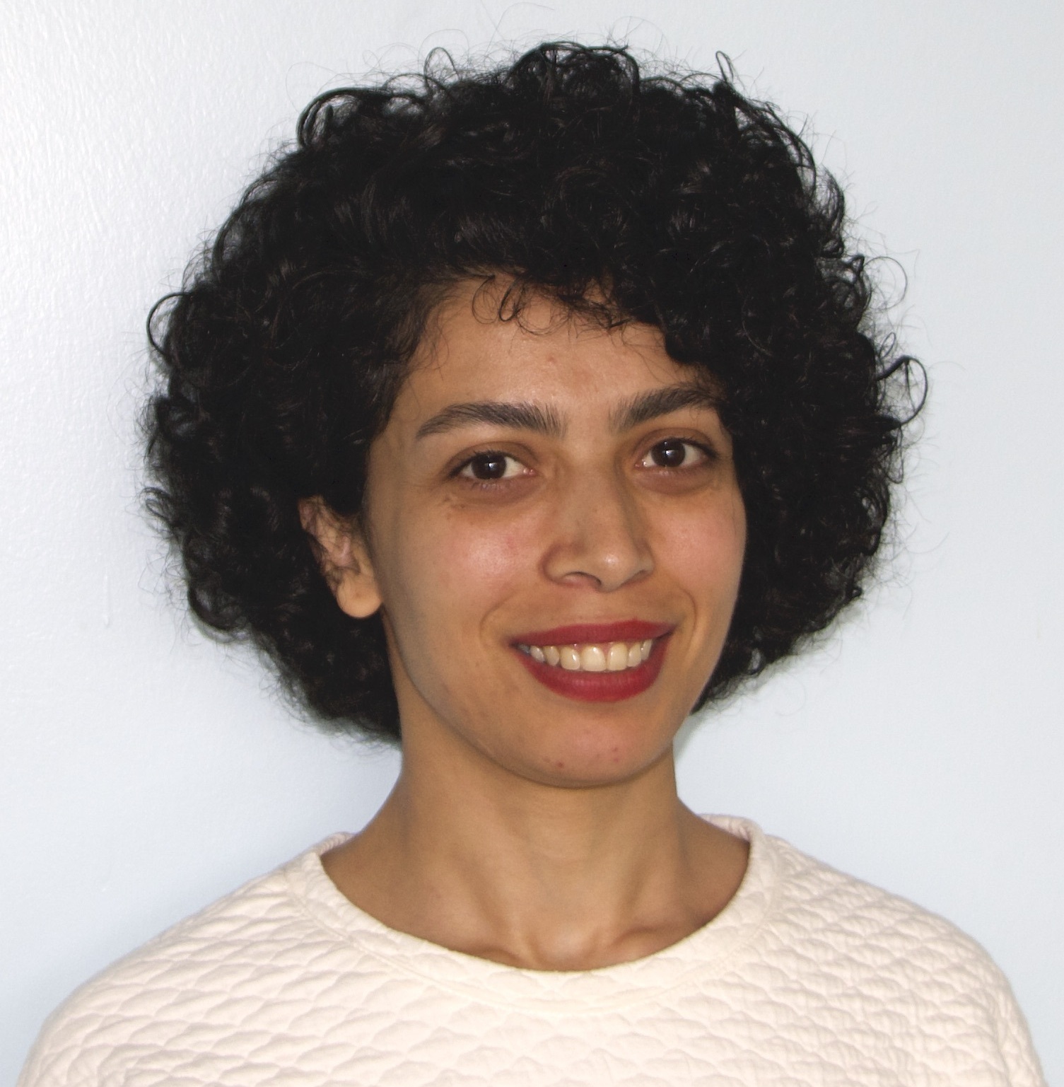 Profile photo of Dr Afrooz Kazemi Vanhari